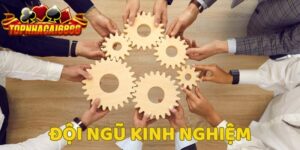 Sở hữu đội ngũ chuyên gia đánh giá kinh nghiệm